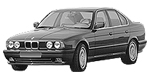 BMW E34 C202D Fault Code