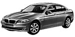 BMW F10 C202D Fault Code