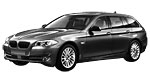 BMW F11 C202D Fault Code